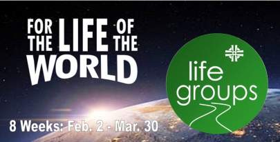 Life Groups- For the Life of the World